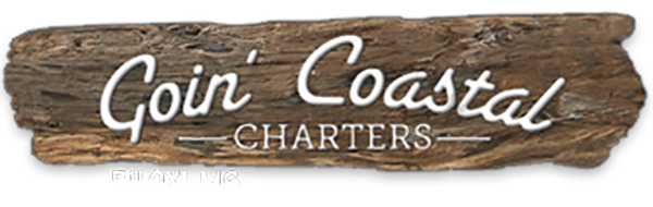 gcc_logo_600