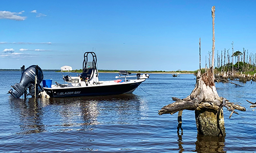 Captain Sam Davis fishing charters